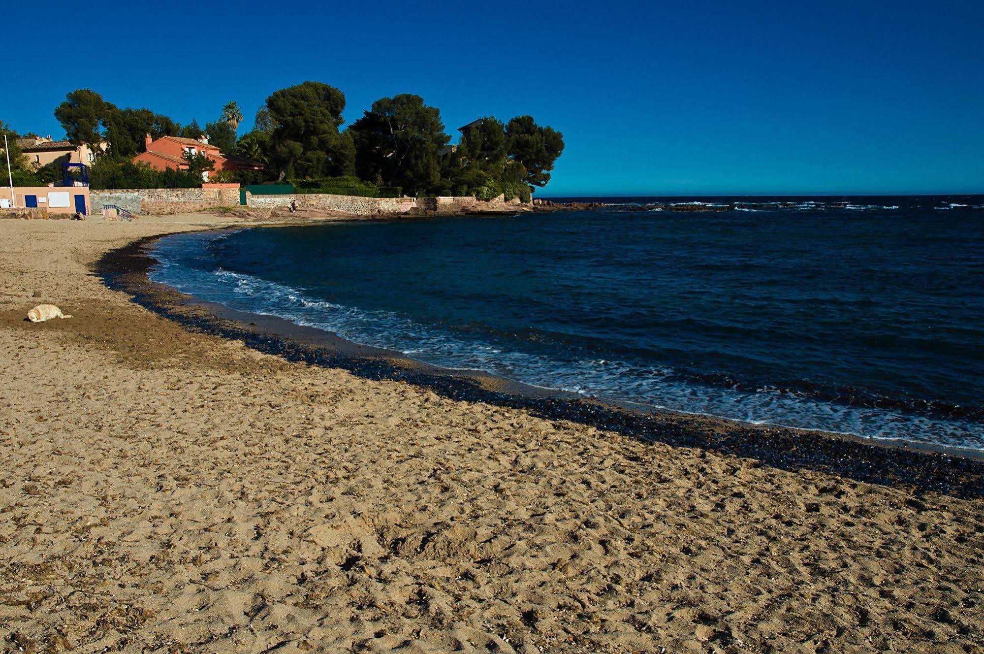 Hotel Et Studios Les Amandiers Saint-Raphaël エクステリア 写真